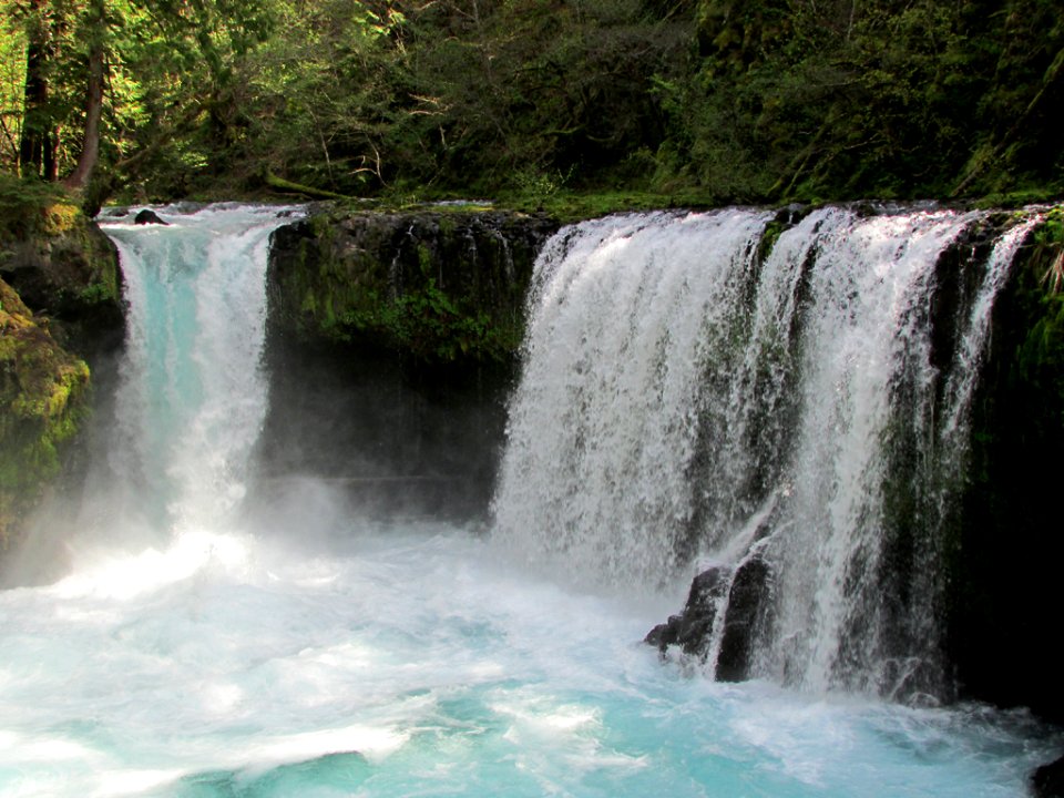 Spirit Falls Trail on Little White Salmon River in WA