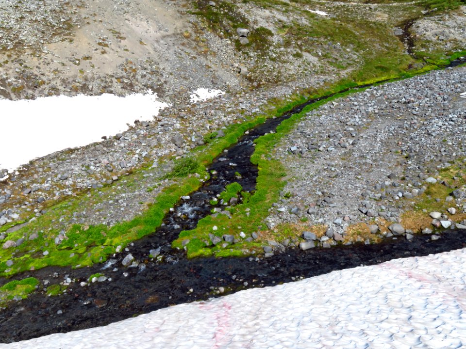 Skyline Trail at Mt. Rainier NP in WA