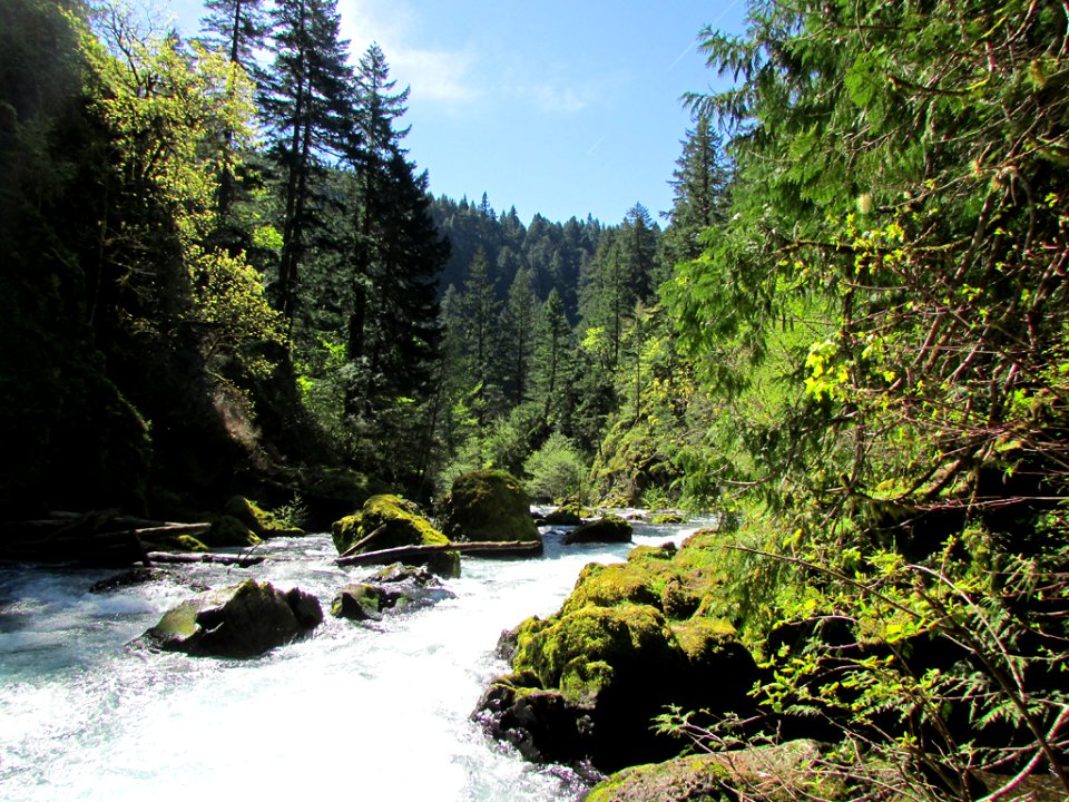 Spirit Falls Trail on Little White Salmon River in WA