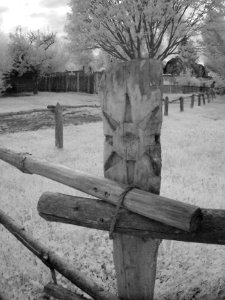 Carved Fence photo