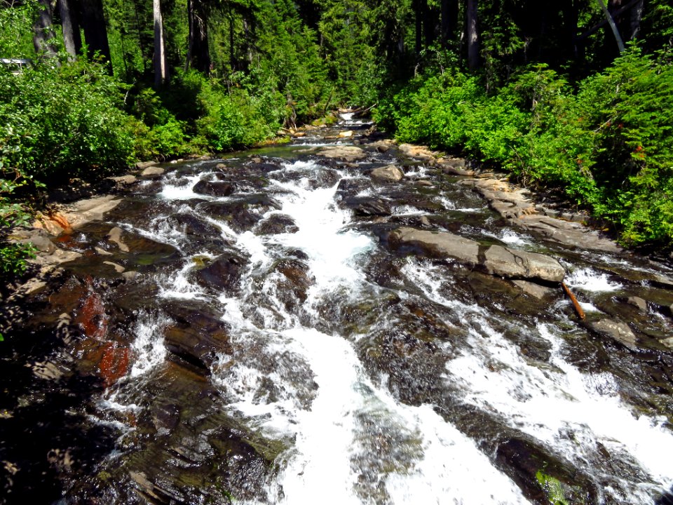 Skyline Trail at Mt. Rainier NP in WA