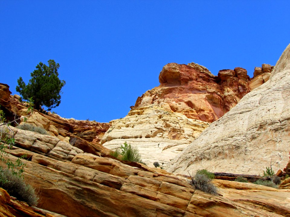Capitol Reef NP in Utah