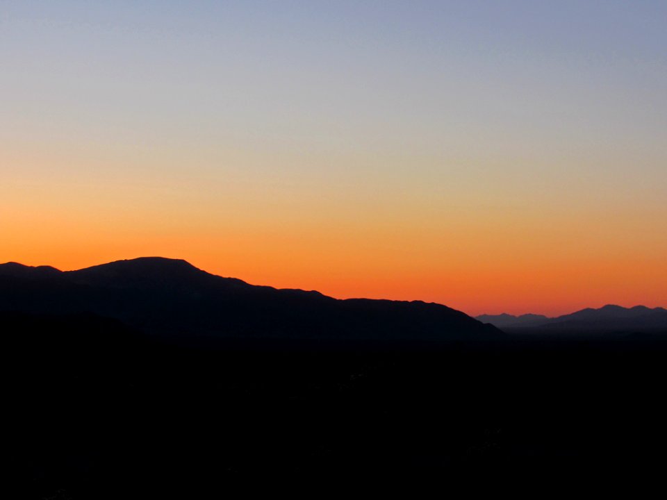 Sunrise at Cholla Cactus Garden at Joshua Tree NP in California