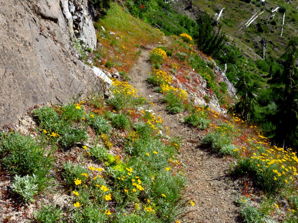 Lakes Trail at Mt. Margaret Backcountry in WA