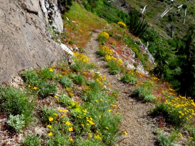 Lakes Trail at Mt. Margaret Backcountry in WA