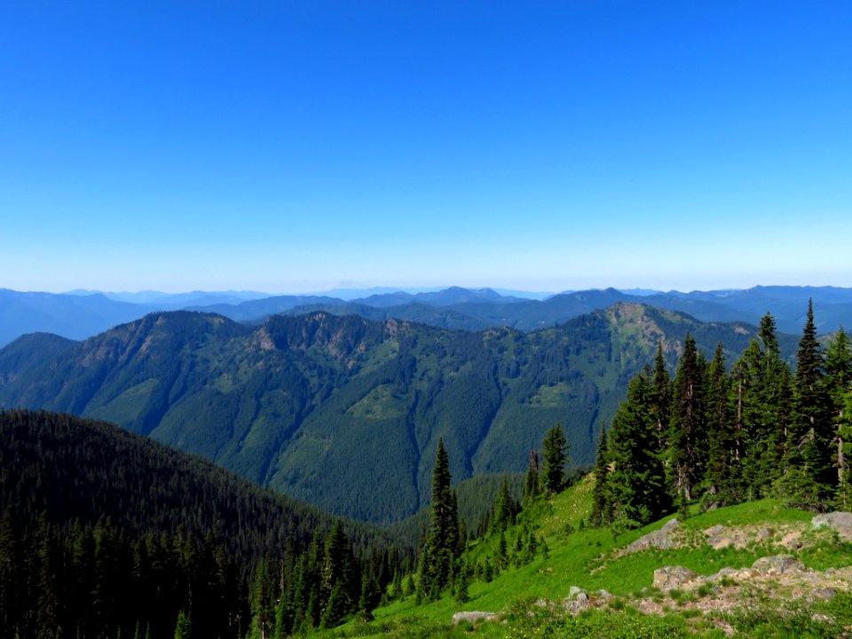 Tatoosh Peak Trail in WA