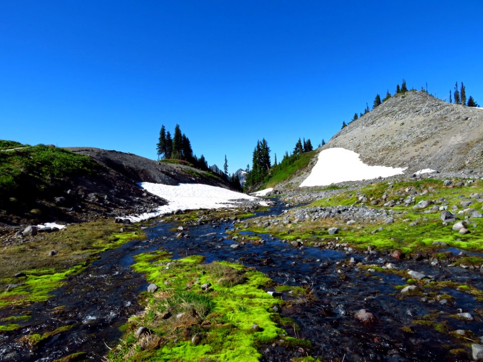 Skyline Trail at Mt. Rainier NP in WA