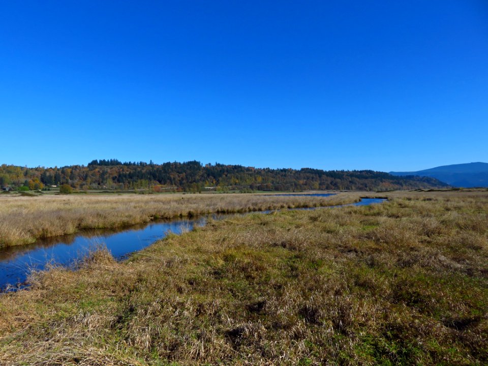 Autumn at Steigerwald Lake NWR in WA