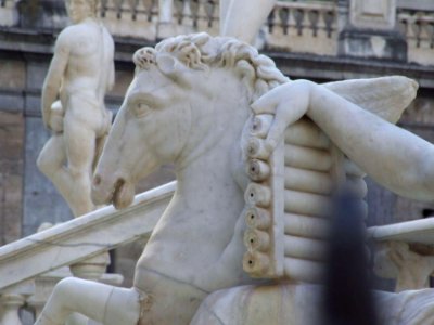 Public Domain Dedication CC0 t5144