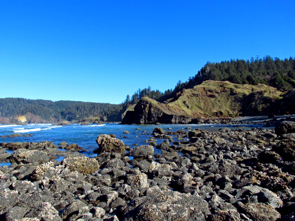 Low Tide at Pacific Coast in OR photo