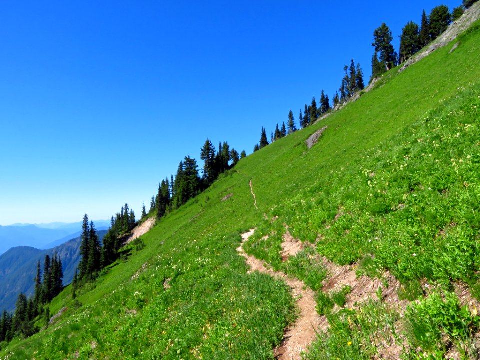 Tatoosh Peak Trail in WA