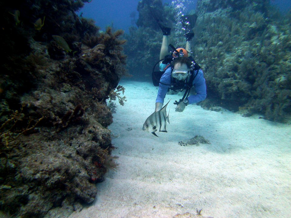 Keith and a spadefish in the alleyway Molassas Reef Key Largo