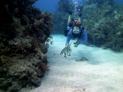 Keith and a spadefish in the alleyway Molassas Reef Key Largo photo