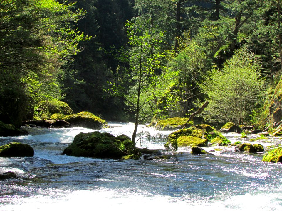 Spirit Falls Trail on Little White Salmon River in WA