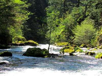 Spirit Falls Trail on Little White Salmon River in WA