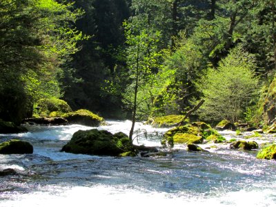 Spirit Falls Trail on Little White Salmon River in WA photo