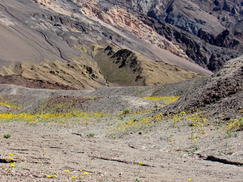 Artist's Drive at Death Valley NP in CA