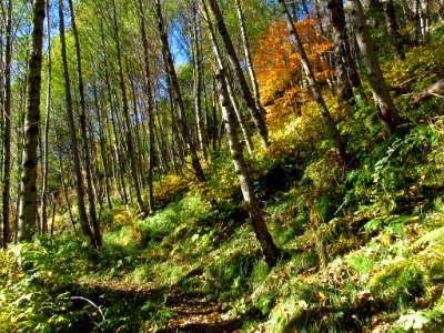 Coldwater Lake Loop Trail in WA