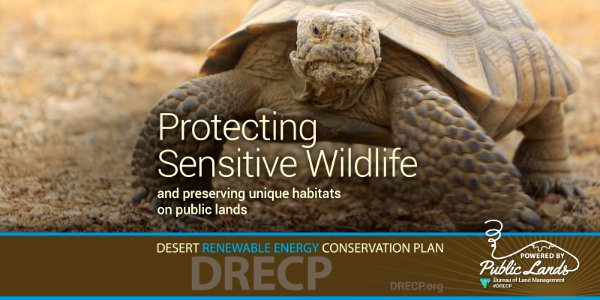 Desert Renewable Energy Conservation Plan