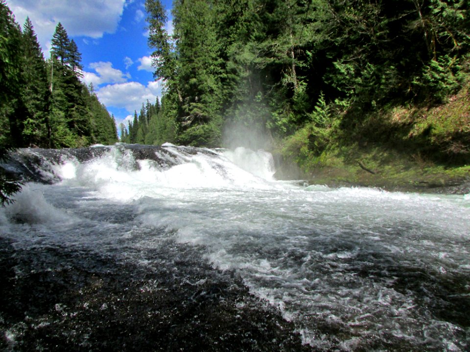 Middle Lewis River Falls in WA