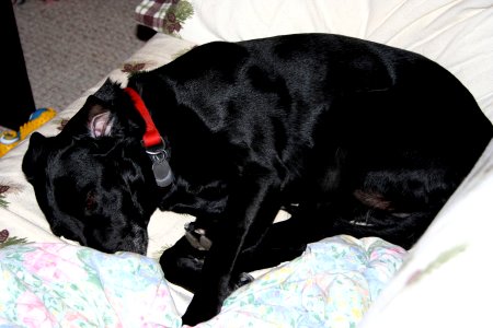 Sleep Cadu
