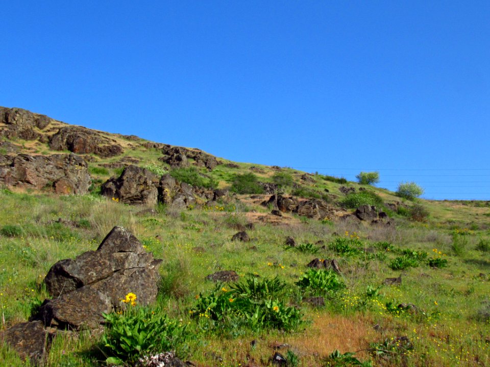 Crawford Oaks Trail at Columbia Hills SP in WA