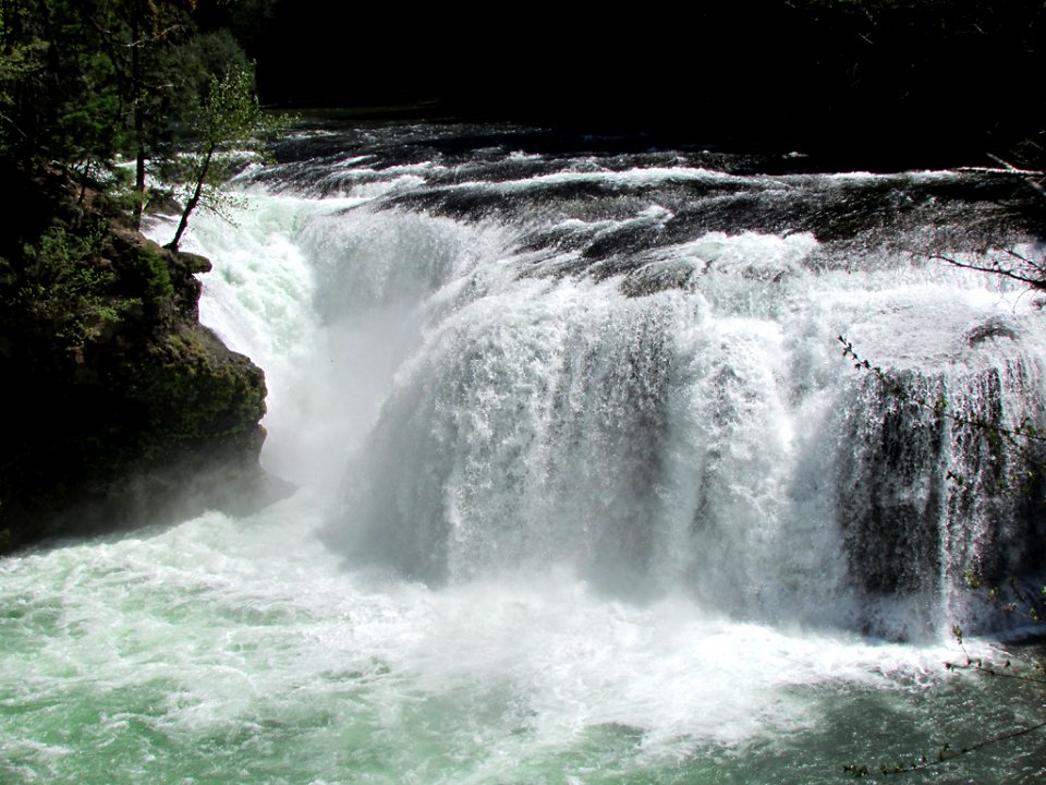 Lower Lewis River Falls Trail in WA