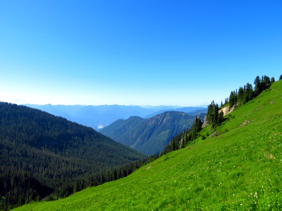 Tatoosh Peak Trail in WA