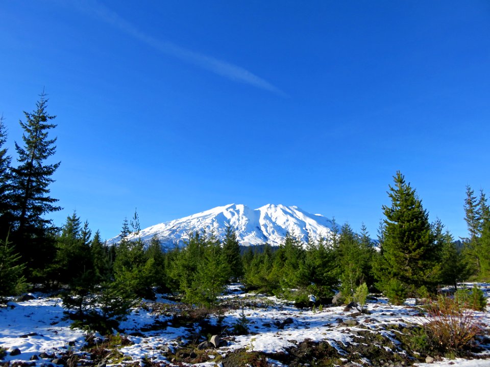 Mt. St. Helens at Lahar in WA