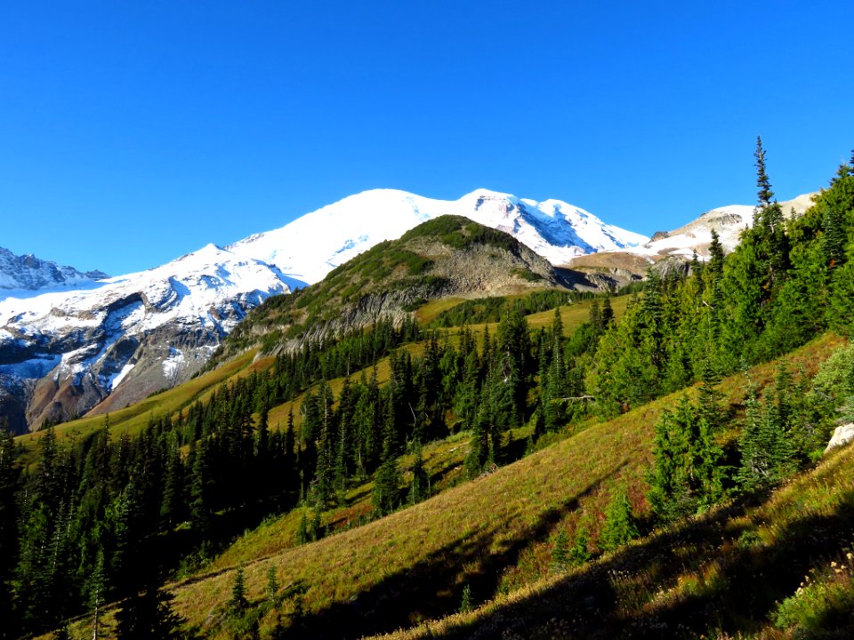 Burroughs Mt. Trail at Mt. Rainier NP in WA
