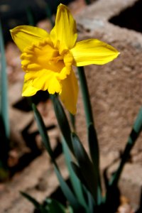 Early Spring Warning