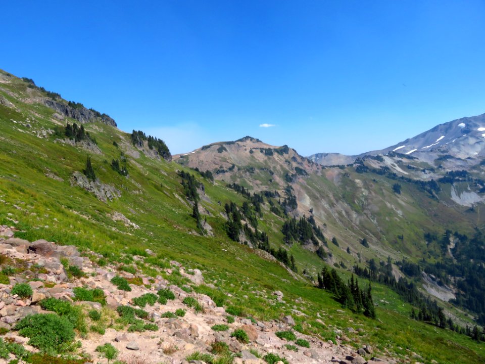 Goat Rocks Wilderness in WA