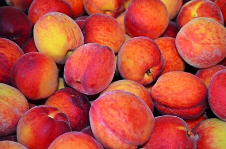 Peach fruit plate with fruits peaches