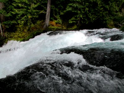 McKenzie River Trail in Central OR photo