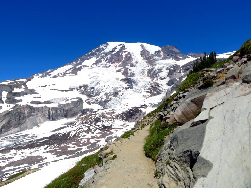 Skyline Trail at Mt. Rainier NP in WA