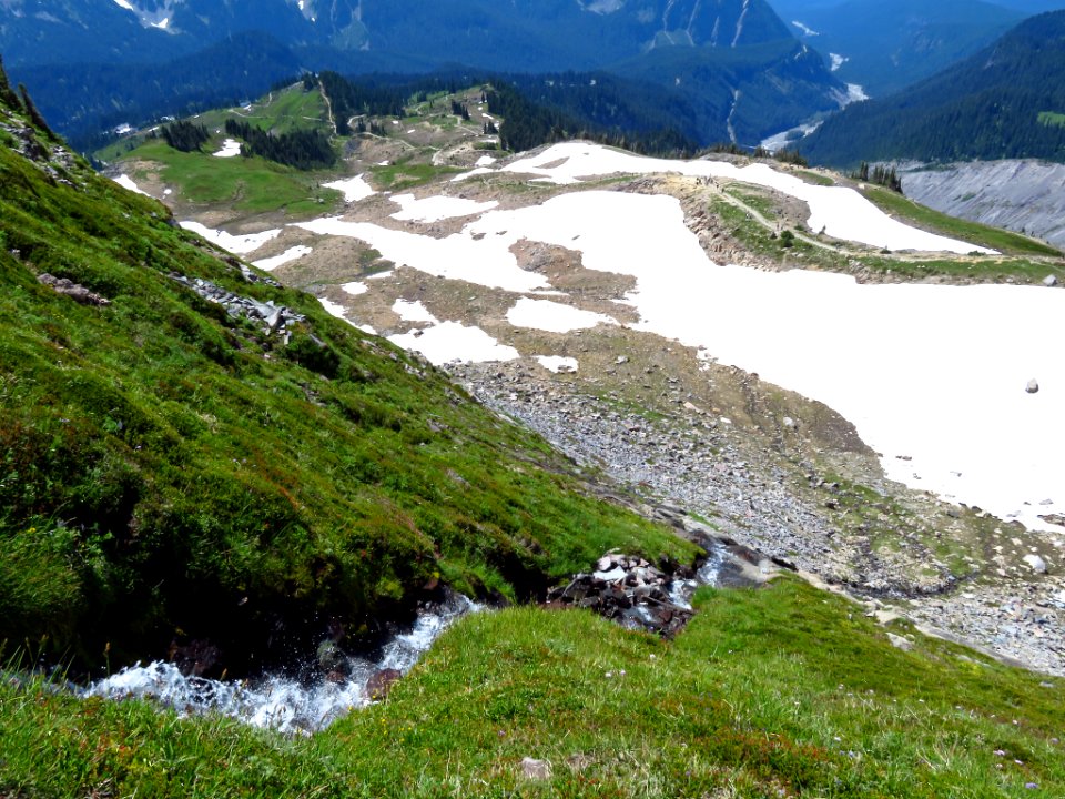 Skyline Trail at Mt. Rainier NP in WA