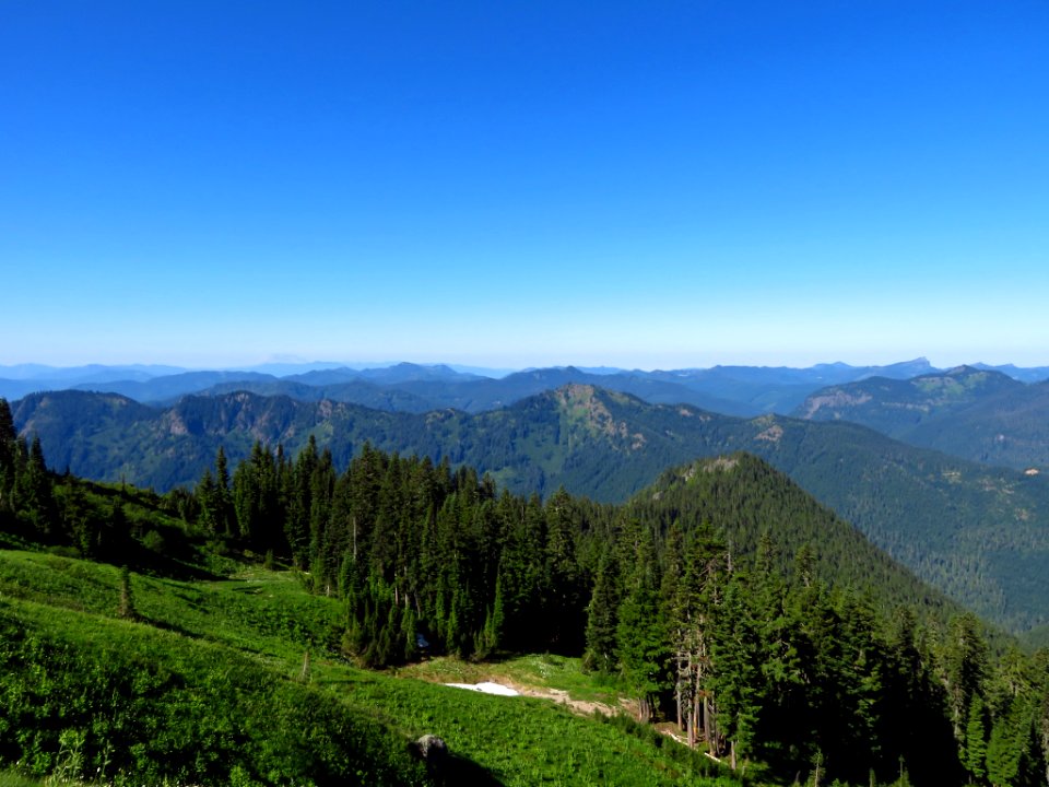 Tatoosh Peak Trail in WA