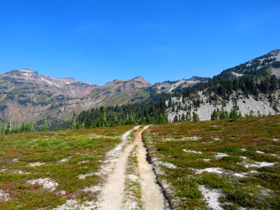 Goat Rocks Wilderness in WA