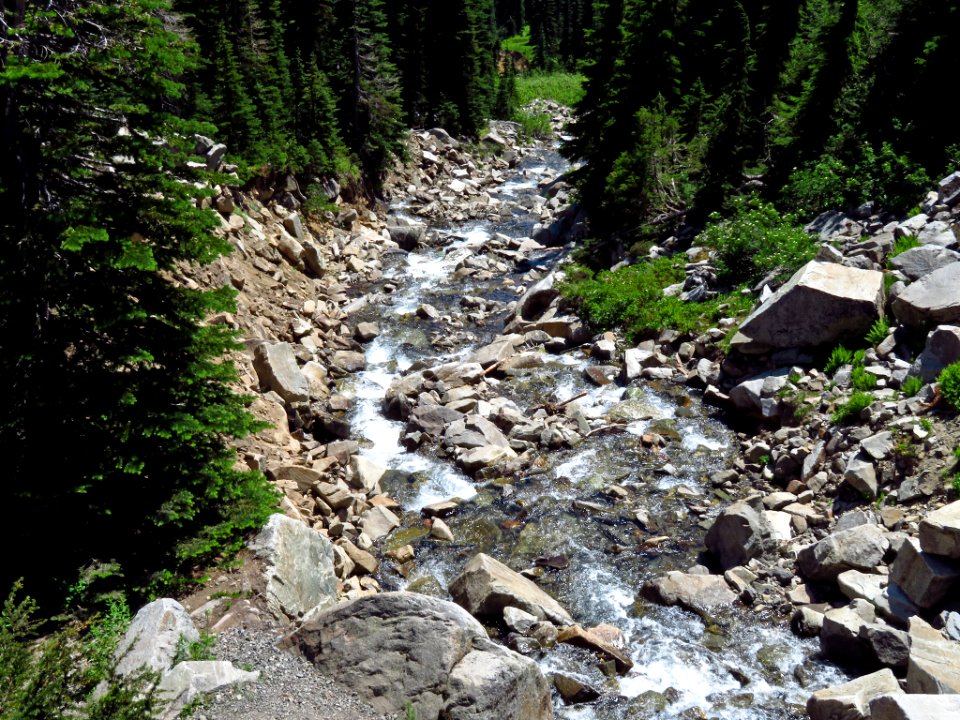 Skyline Trail at Mt. Rainier NP in WA