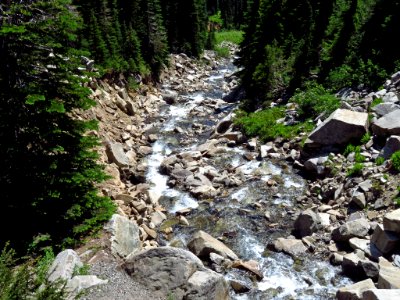 Skyline Trail at Mt. Rainier NP in WA photo