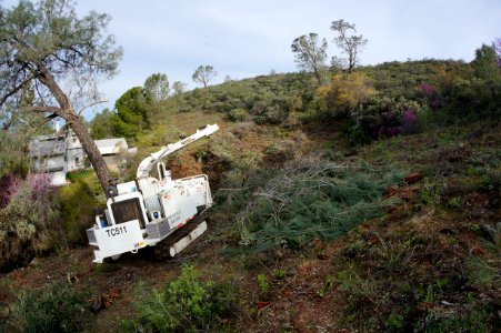 Fuel Break in Pine Hill Preserve , Mother Lode Field Office
