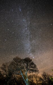 Galicia ourense brown photo