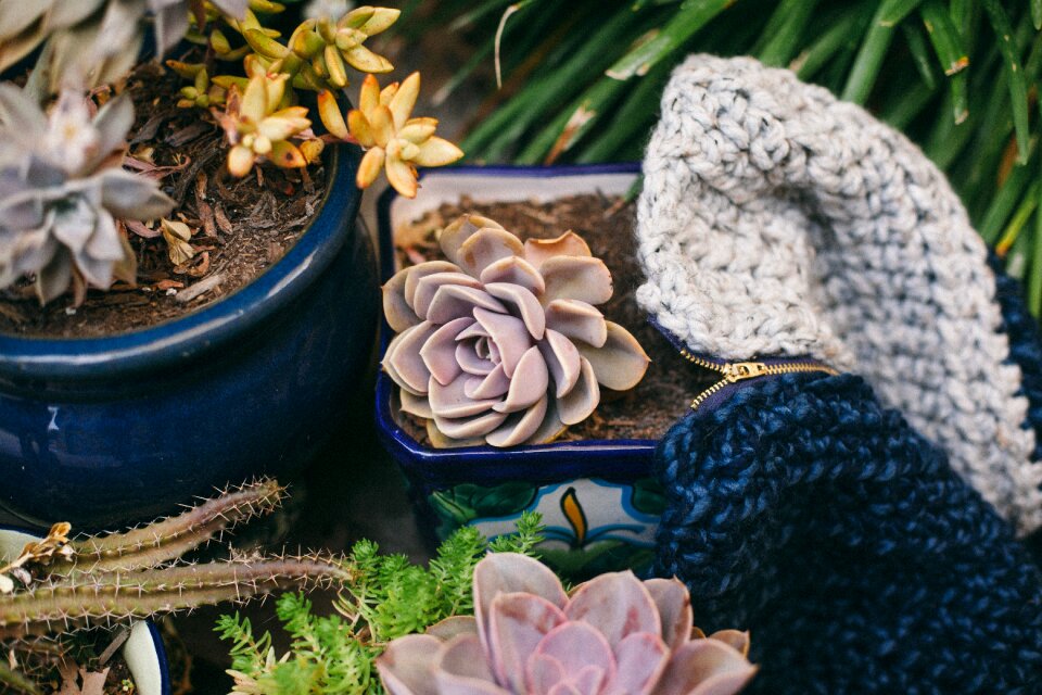 Pots gardening nature