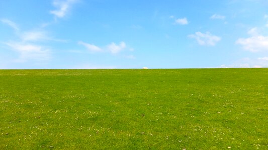 Grass rural summer photo