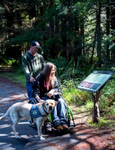 Headwaters Forest Reserve