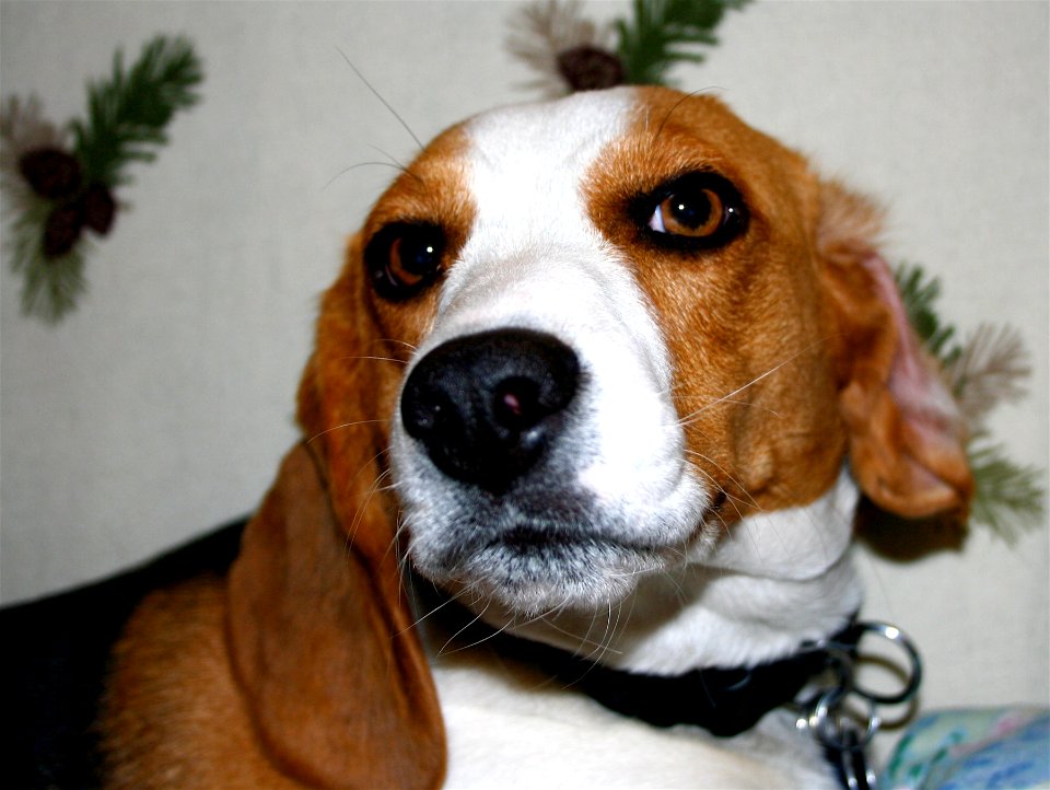 Fresa Wonders Who Is Waking Her Up with Flashing Lights?