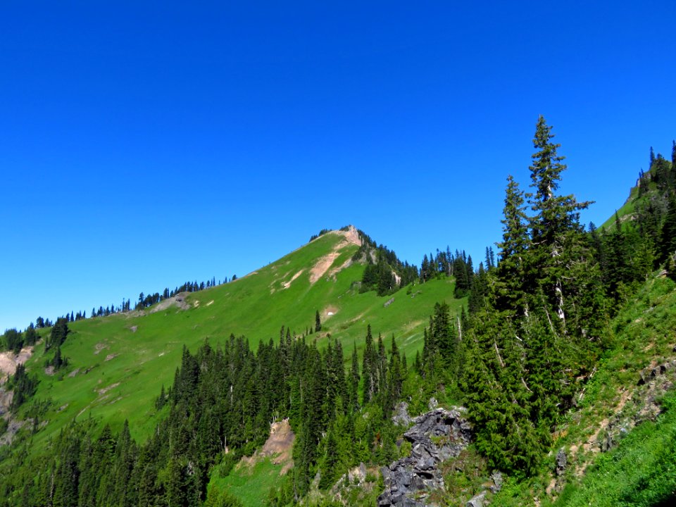 Tatoosh Peak Trail in WA