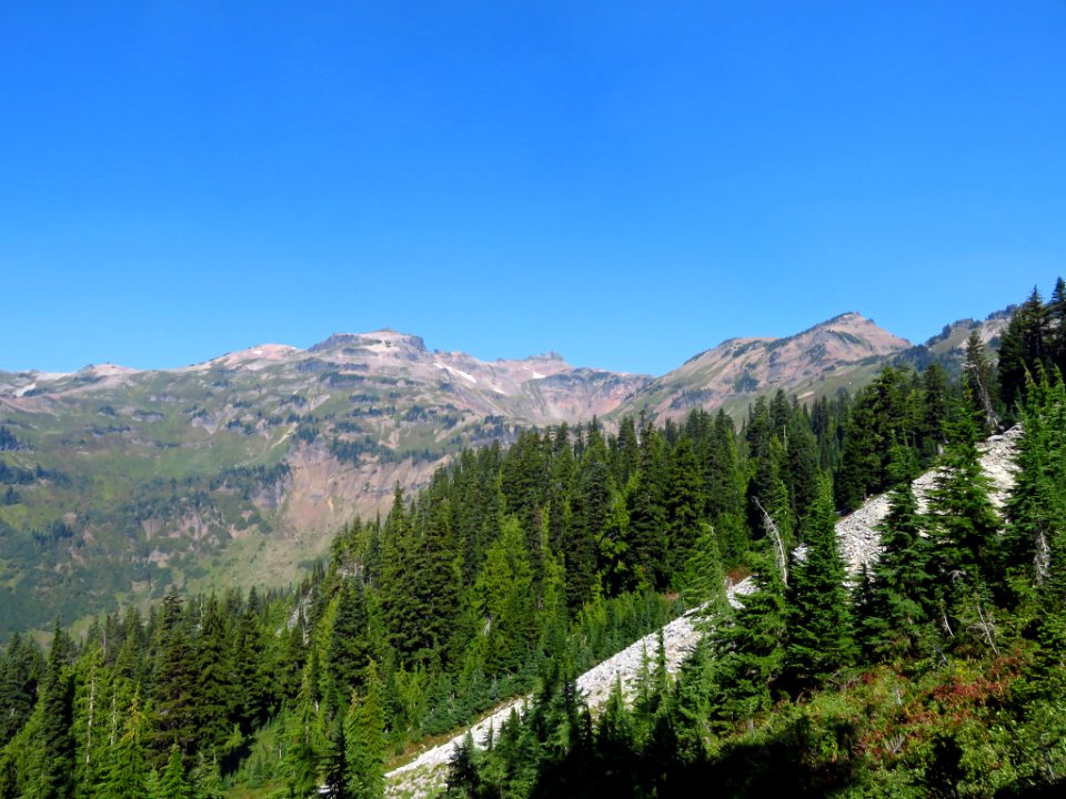 Goat Rocks Wilderness in WA