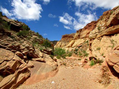 Capitol Reef NP in Utah