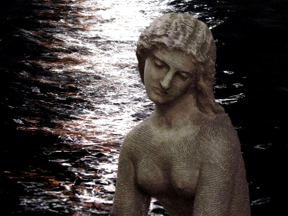 Public Domain Dedication CC0 t5563
